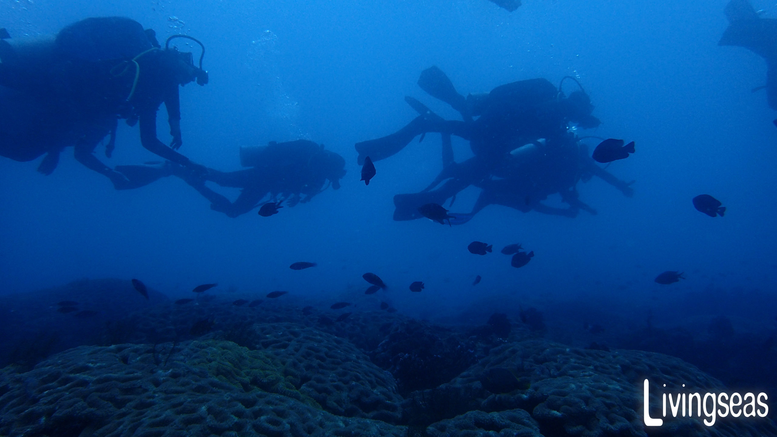 Seagate Monitoring Part 2 - Restoration Stewards by Global Landscapes Forum