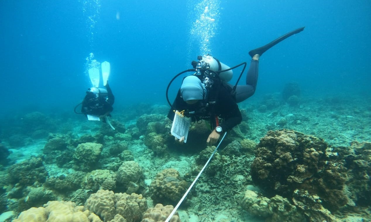 Back to school for our coral reefs - Restoration Stewards by Global ...